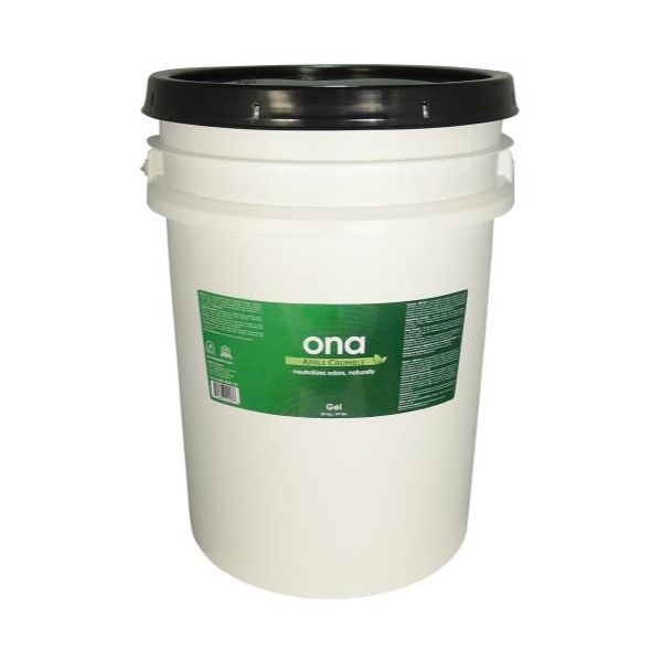 Ona Apple Crumble 20 Liter Gel