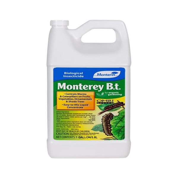 Monterey B.t. Gallon