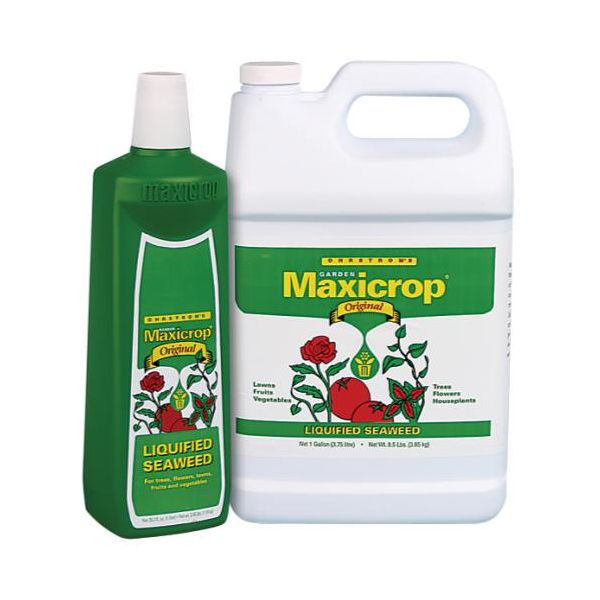 Maxicrop Original Liquid Seaweed 2.5 Gallon