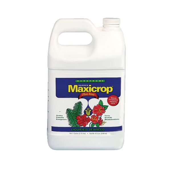 Maxicrop Plus Iron Gallon