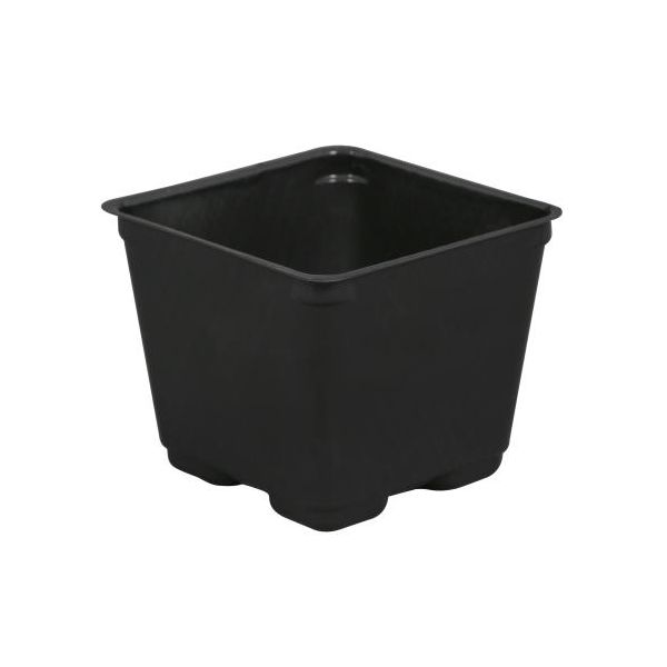 Square Plastic Pot Black 4 in