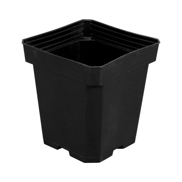 Black Square Pot (Magnum) 6 in x 6 in x 7 in