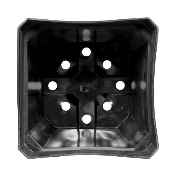 Black Square Pot (Magnum) 6 in x 6 in x 7 in