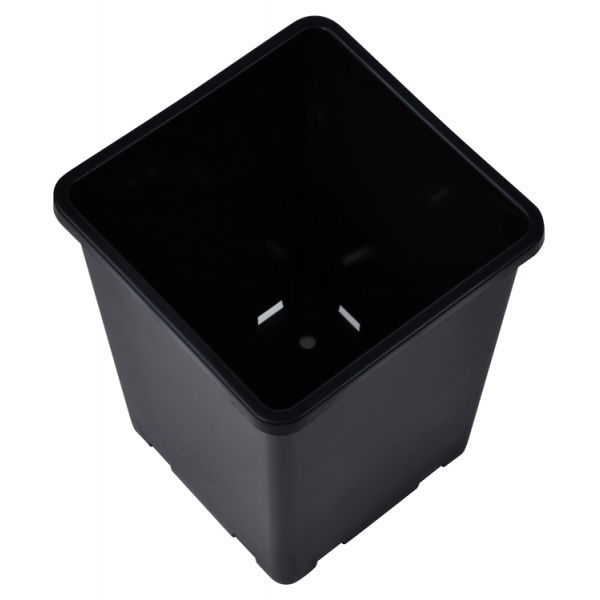 Rose Bucket Black 7.6 in x 7.6 in x 9.7 in