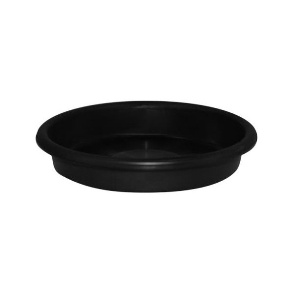 Mondi Super Saucer 6 in