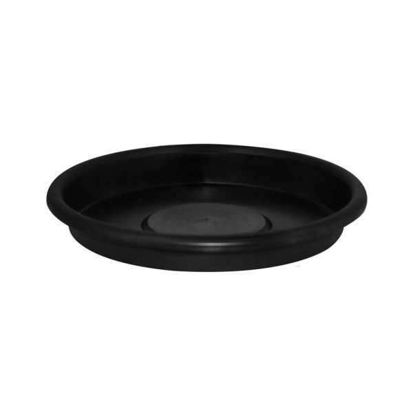 Mondi Super Saucer 8 in