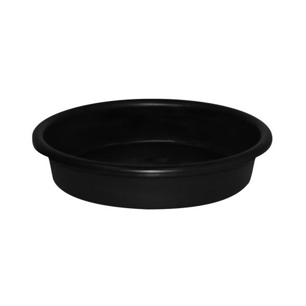 Mondi Super Saucer 10 in