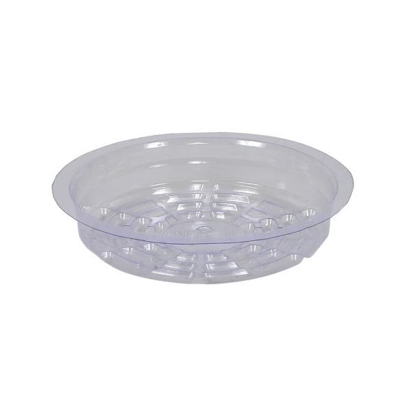 Gro Pro Premium Clear Plastic Saucer 6 in, Pack of 50 Pieces