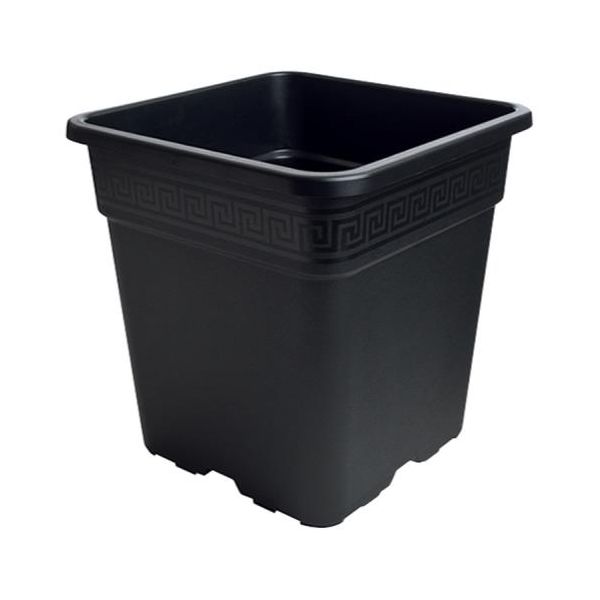 Black Square Pot 1/2 Gallon