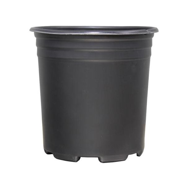 Thermoformed Nursery Pot 1 Gallon