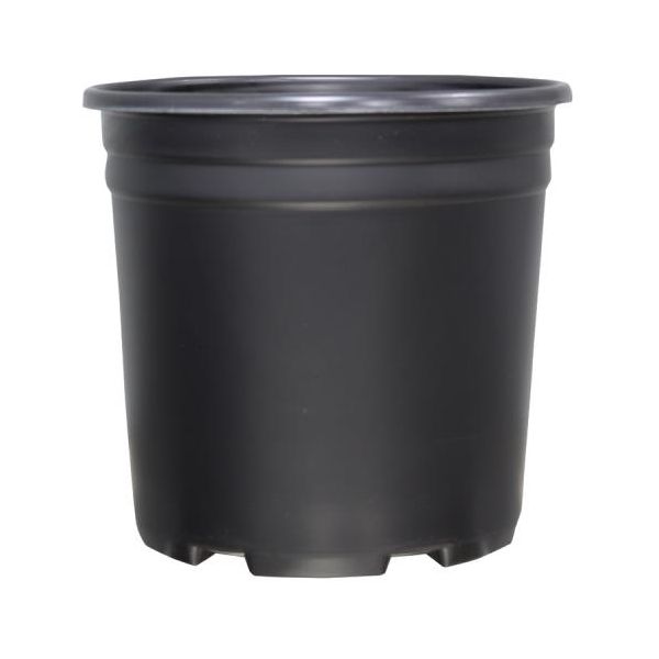 Thermoformed Nursery Pot  2 Gallon