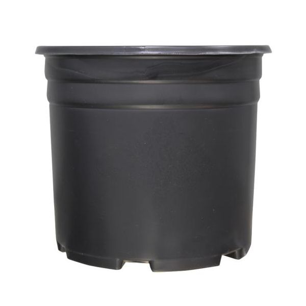 Thermoformed Nursery Pot 3 Gallon