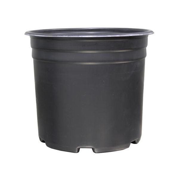 Thermoformed Nursery Pot  5 Gallon