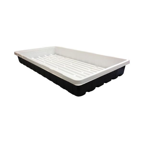 Mondi Black & White Premium 10 x 20 Propagation Tray