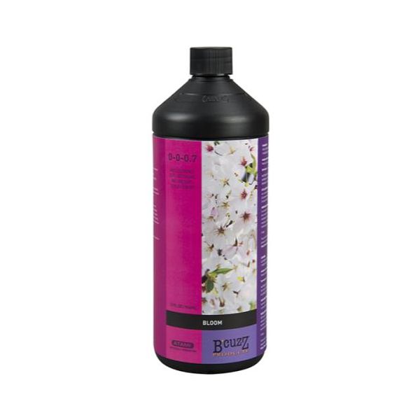 BCuzz Bloom Quart