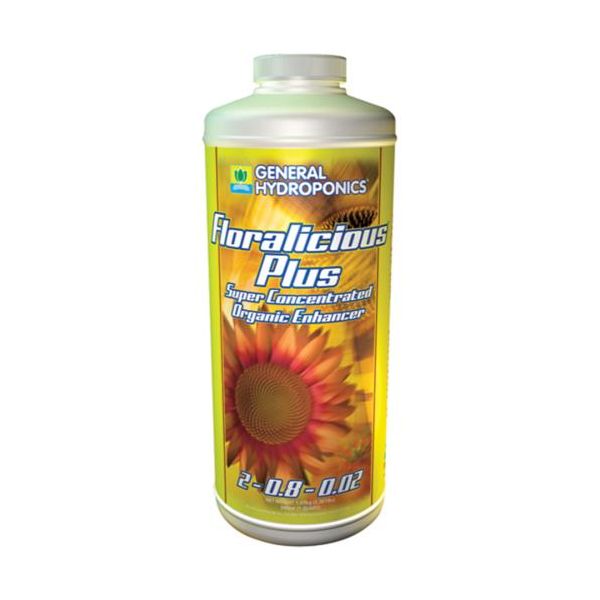 GH Floralicious Plus Quart