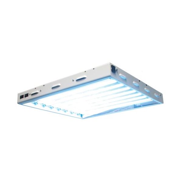 Sun Blaze T5 HO 28 - 2 ft 8 Lamp