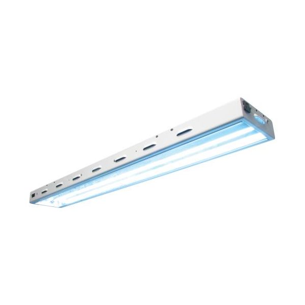 Sun Blaze T5 HO 42 - 4 ft 2 Lamp