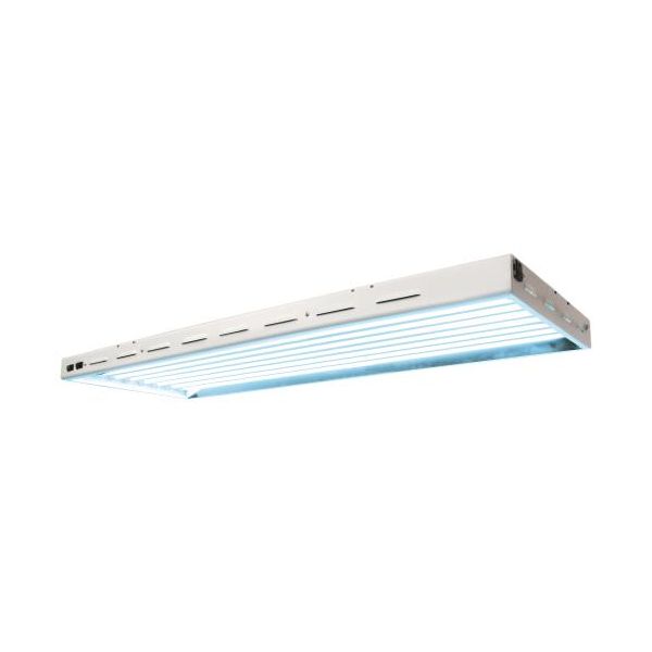 Sun Blaze T5 HO 48 - 4 ft 8 Lamp