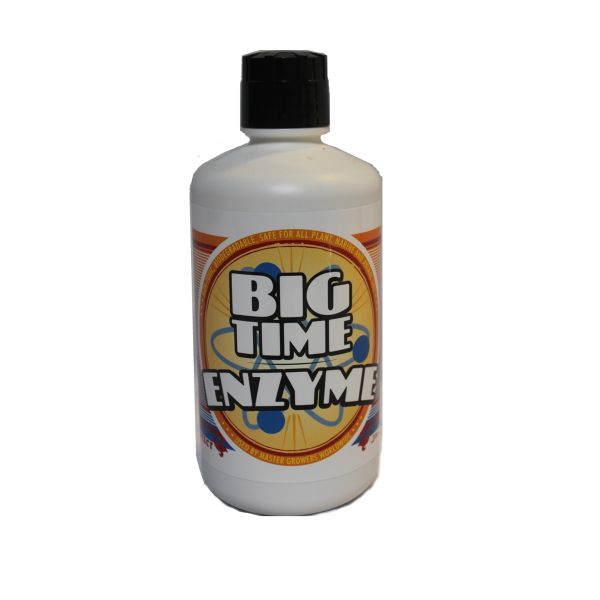 Big Time Enzyme, 1 qt