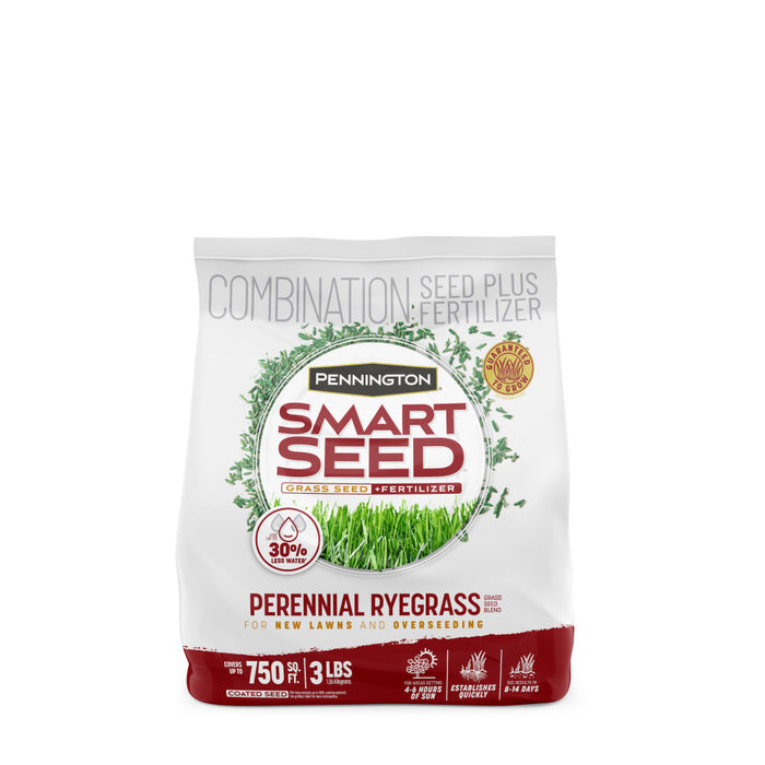 Pennington Smart Seed Perennial Ryegrass-3 lb