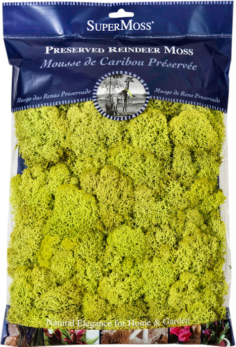 Supermoss Reindeer Moss Preserved Chartreuse-Green, 8 oz