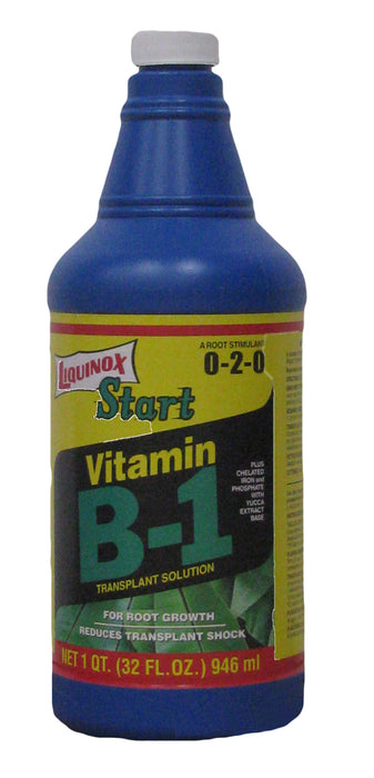 Liquinox Start Vitamin B-1 Transplant Solution 0-2-0-32 oz