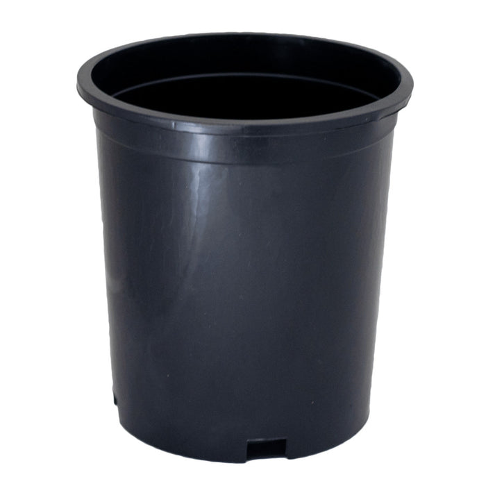 McConkey Premium Tall Injected #1 Nursery Pot-Black, 16.4 in