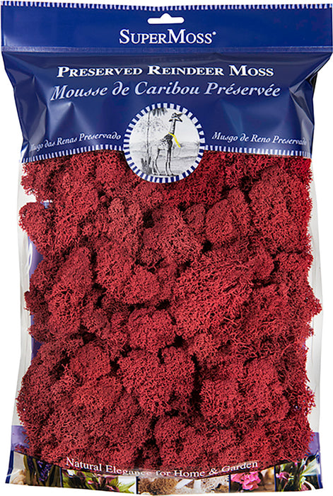 Supermoss Reindeer Moss Preserved Moss-Red, 8 oz