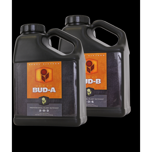 Heavy 16 Bud B Quart (1L)