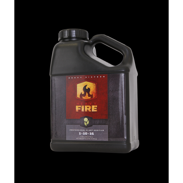 Heavy 16 Fire 8OZ (250ML)