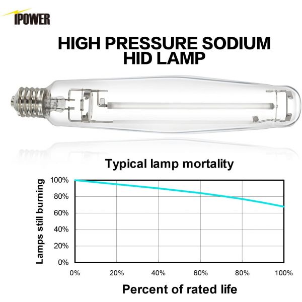 iPower Grow Light 1000W Super HPS Bulb