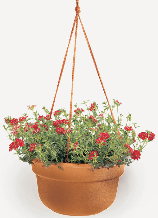 Bloem Dura Cotta Hanging Basket Planter-Terra Cotta, 12 in