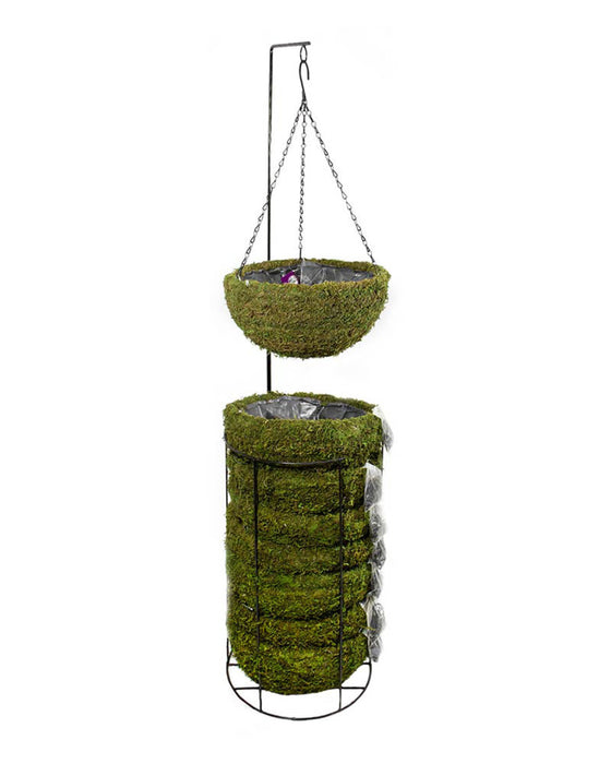 Supermoss Natural Moss Hanging Basket Round Preserved-Spring Green, LG