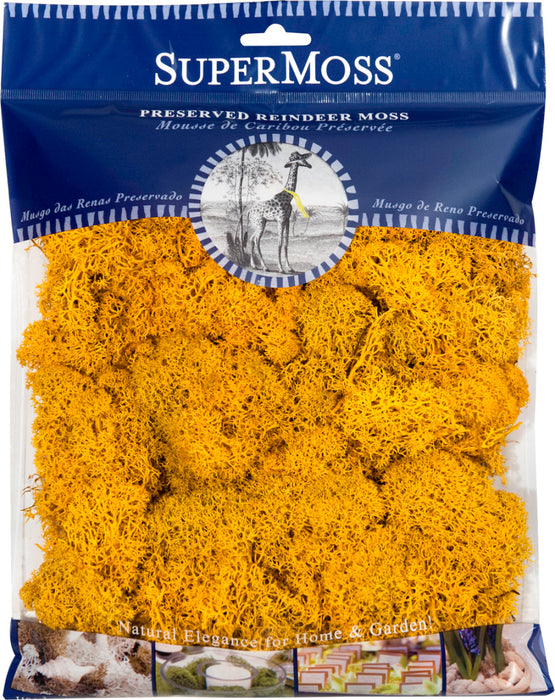 Supermoss Reindeer Moss Preserved Moss-Mango, 4 oz