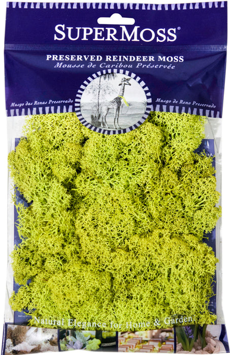 Supermoss Reindeer Moss Preserved Chartreuse-Green, 4 oz