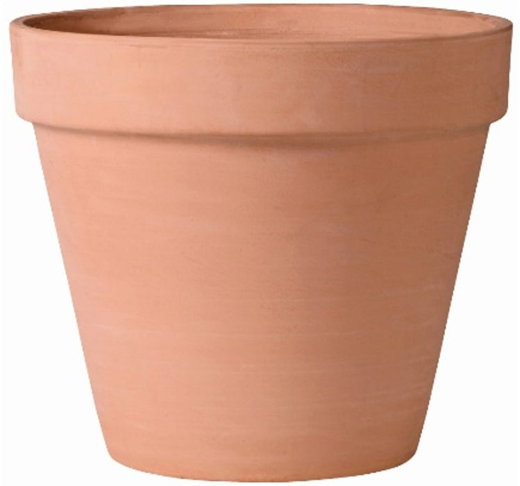 Pennington Standard Pot-White-Washed Terra Cotta, 10 in