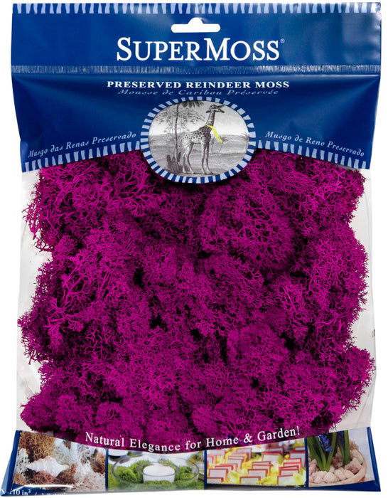 Supermoss Reindeer Moss Preserved Moss-Fuchsia, 4 oz