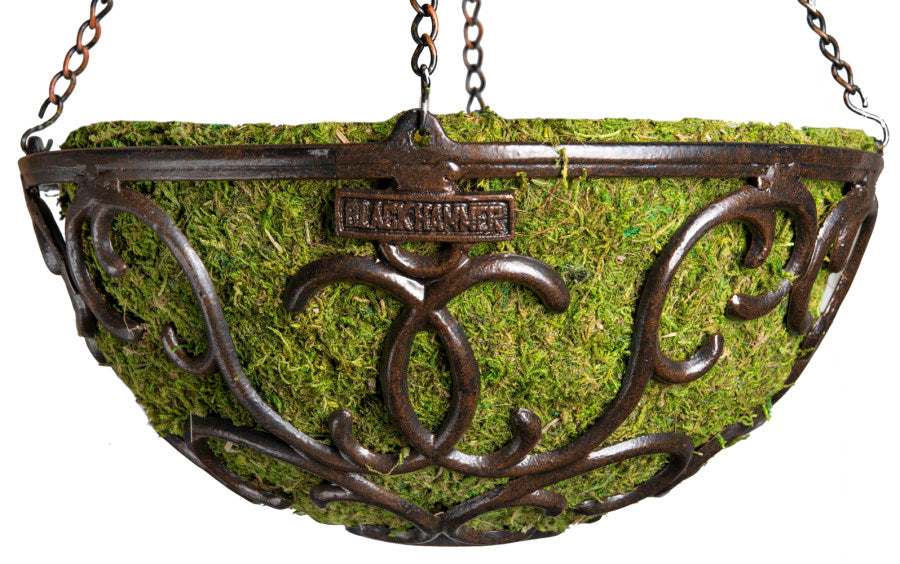 Supermoss Hammer Hanging Basket-Elmbridge Round, Black, 14 in