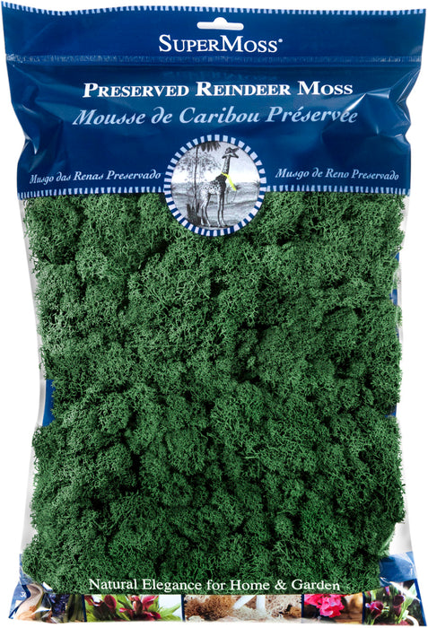 Supermoss Reindeer Moss Preserved Forest-Green, 8 oz