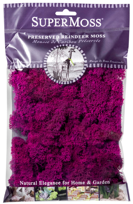 Supermoss Reindeer Moss Preserved Moss-Fuchsia, 2 oz