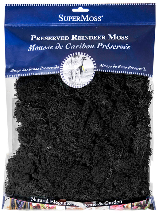 Supermoss Reindeer Moss Preserved Moss-Black, 4 oz