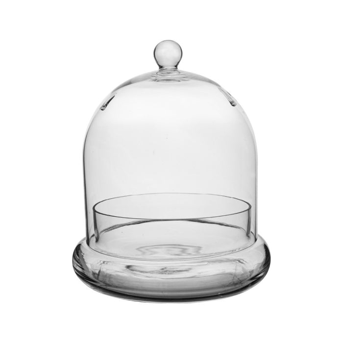 Syndicate Terrarium Cloche-Crystal, 7In X 8.25 in