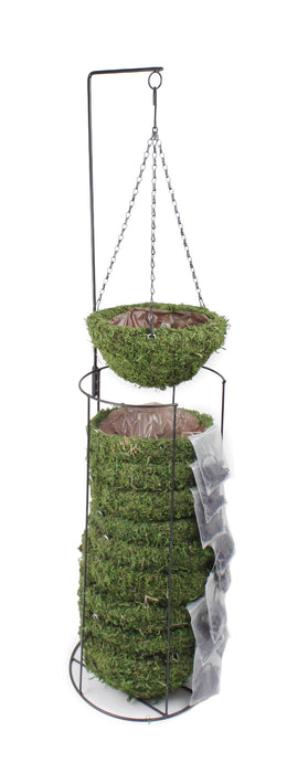 Supermoss Natural Moss Hanging Basket Round Preserved-Spring Green, SM