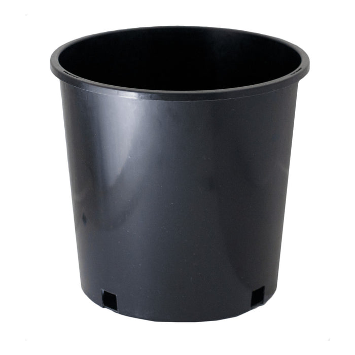 McConkey Premium Injected #2 Nursery Pot-Black, 38.8 in