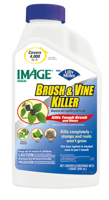 IMAGE BY LM BRUSH & VINE CONC 6-32OZ