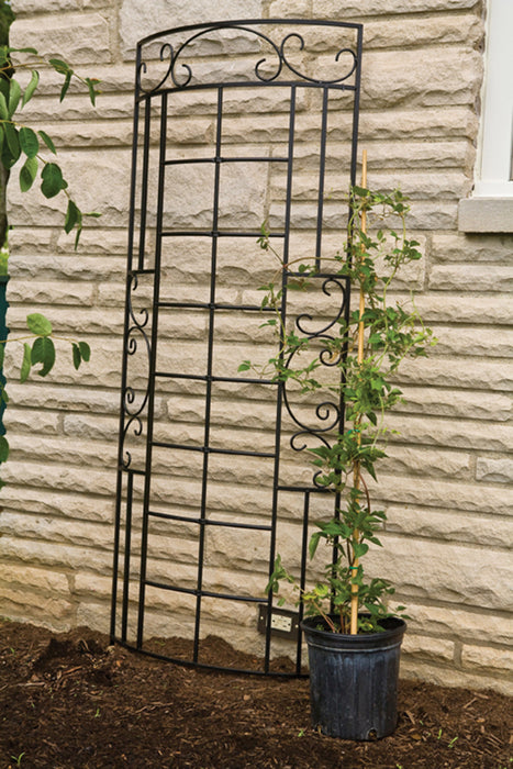 Panacea Romantic Curved Trellis-Black, 72In X 24 in