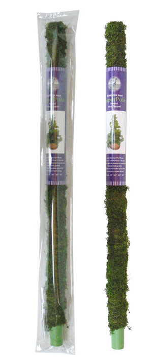 Supermoss Moss Poles Preserved-Fresh Green, 3 ft